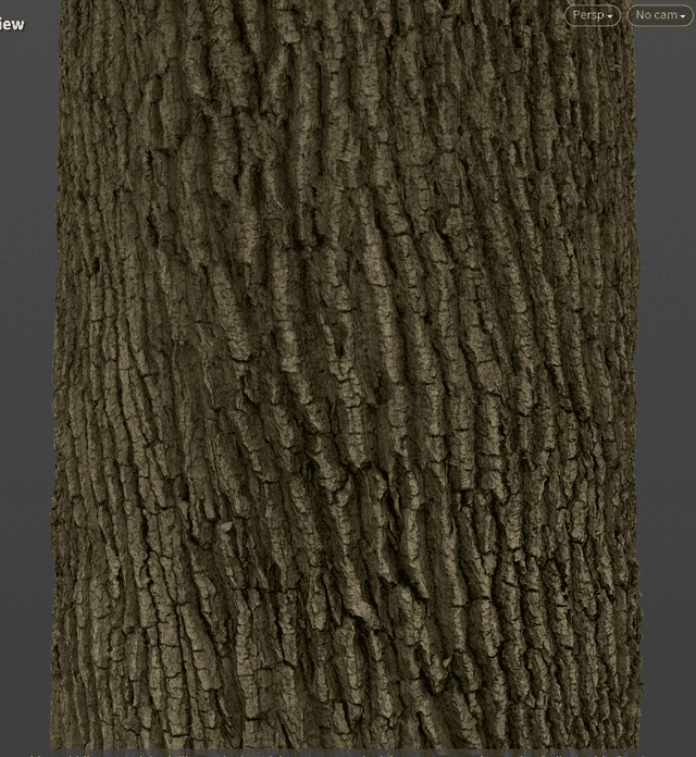 Tree trunk surface texture derived from a scan for foliage assets