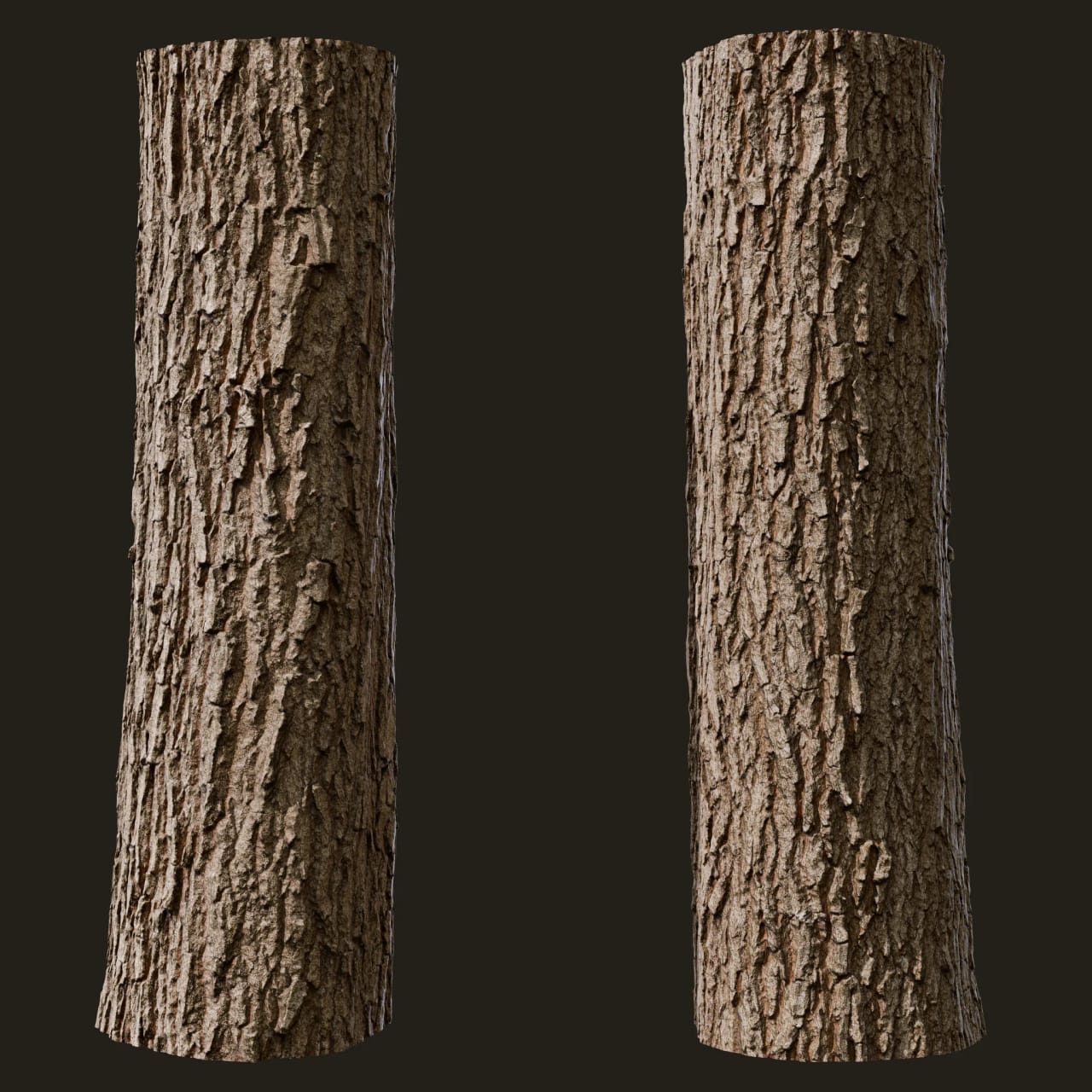 Quercus robur (Pedunculate Oak)