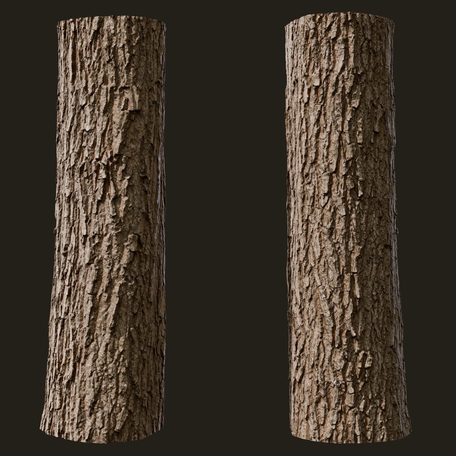 Quercus robur (Pedunculate Oak)
