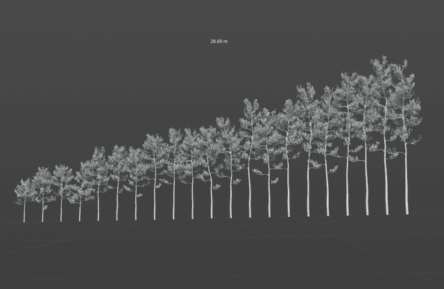 Pine forest showing species and age variation in a game environment