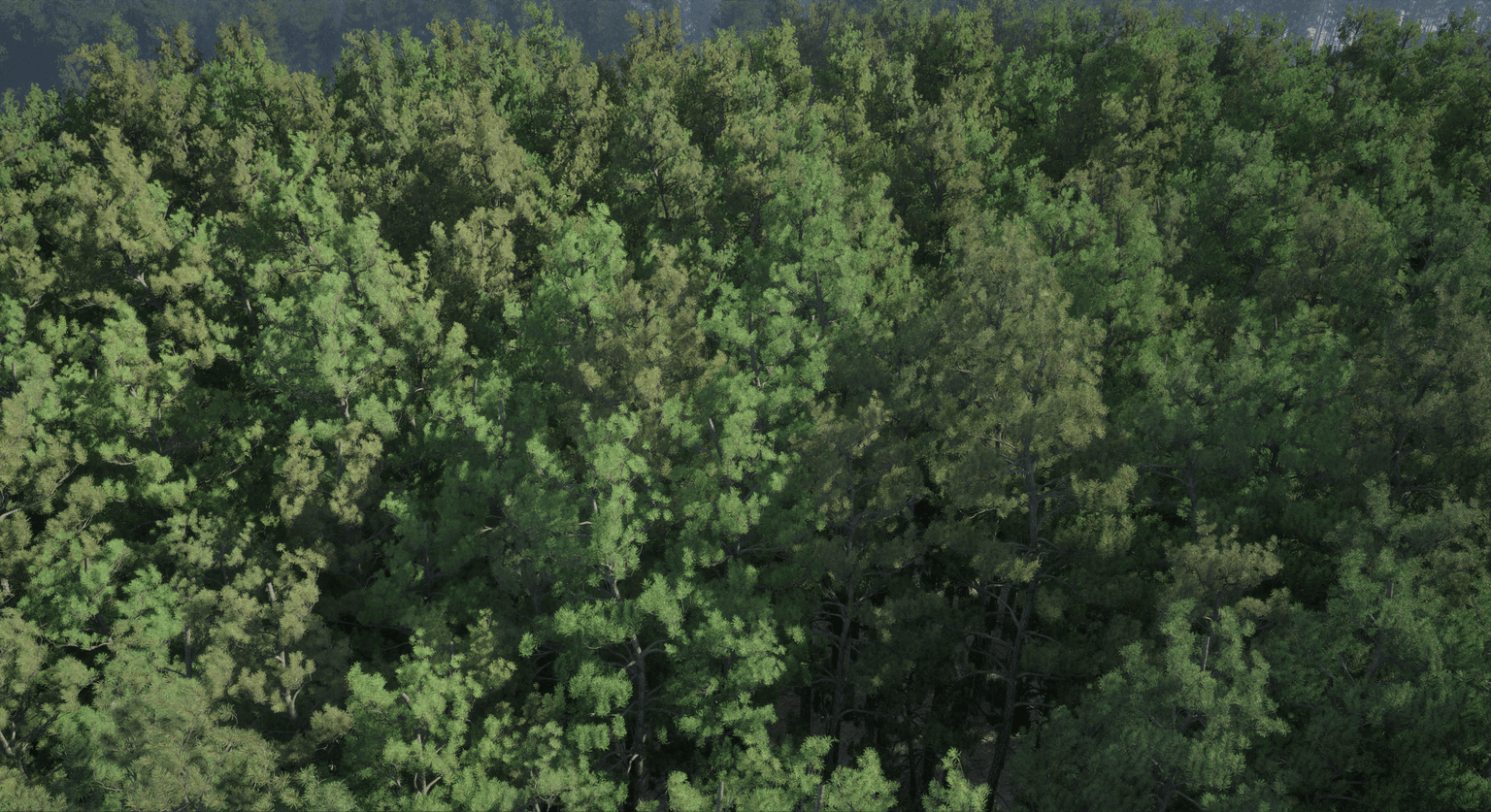 Wind-ready Nanite pine forest in Unreal Engine 5