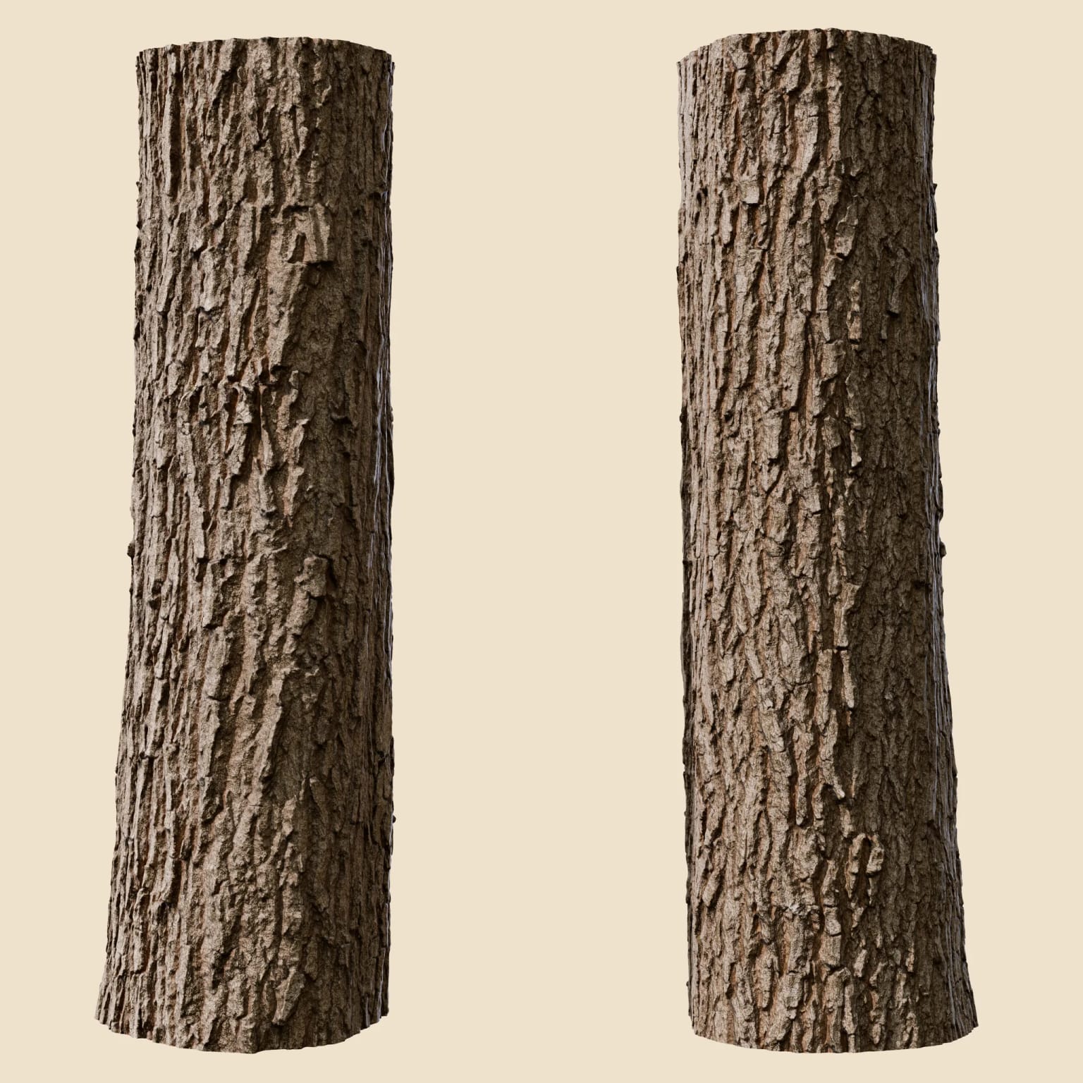 Quercus robur (Pedunculate Oak)