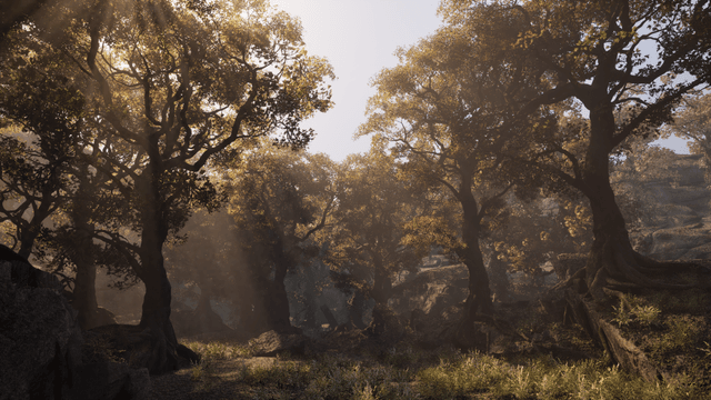 Project Elderwood Unreal Engine scene with Nanite foliage