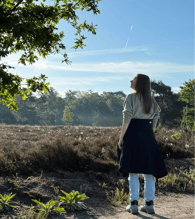 Summer field rendered with Natsura (TODO: replace with photo of Elyse)