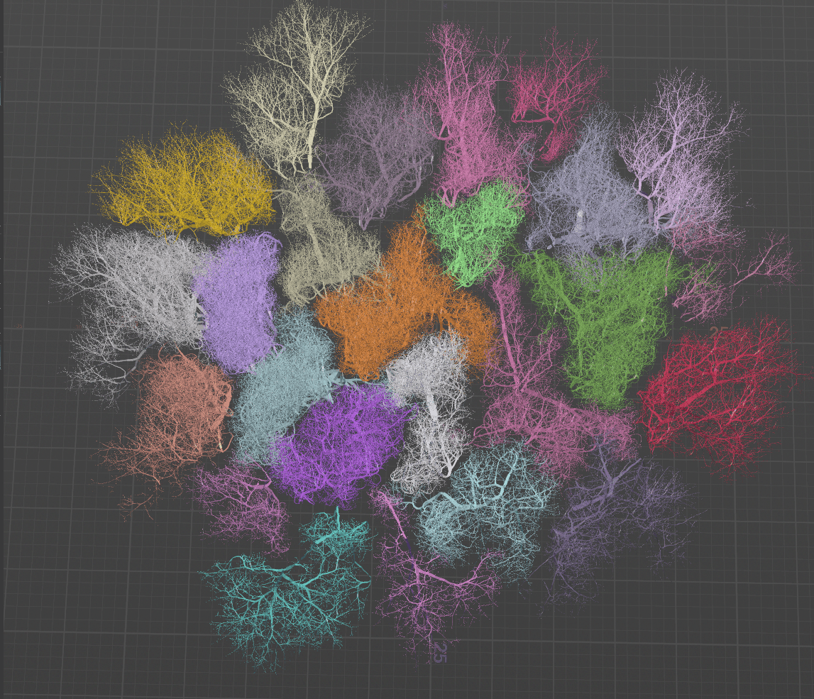 Tree canopy showing crown shyness pattern in a simulated forest