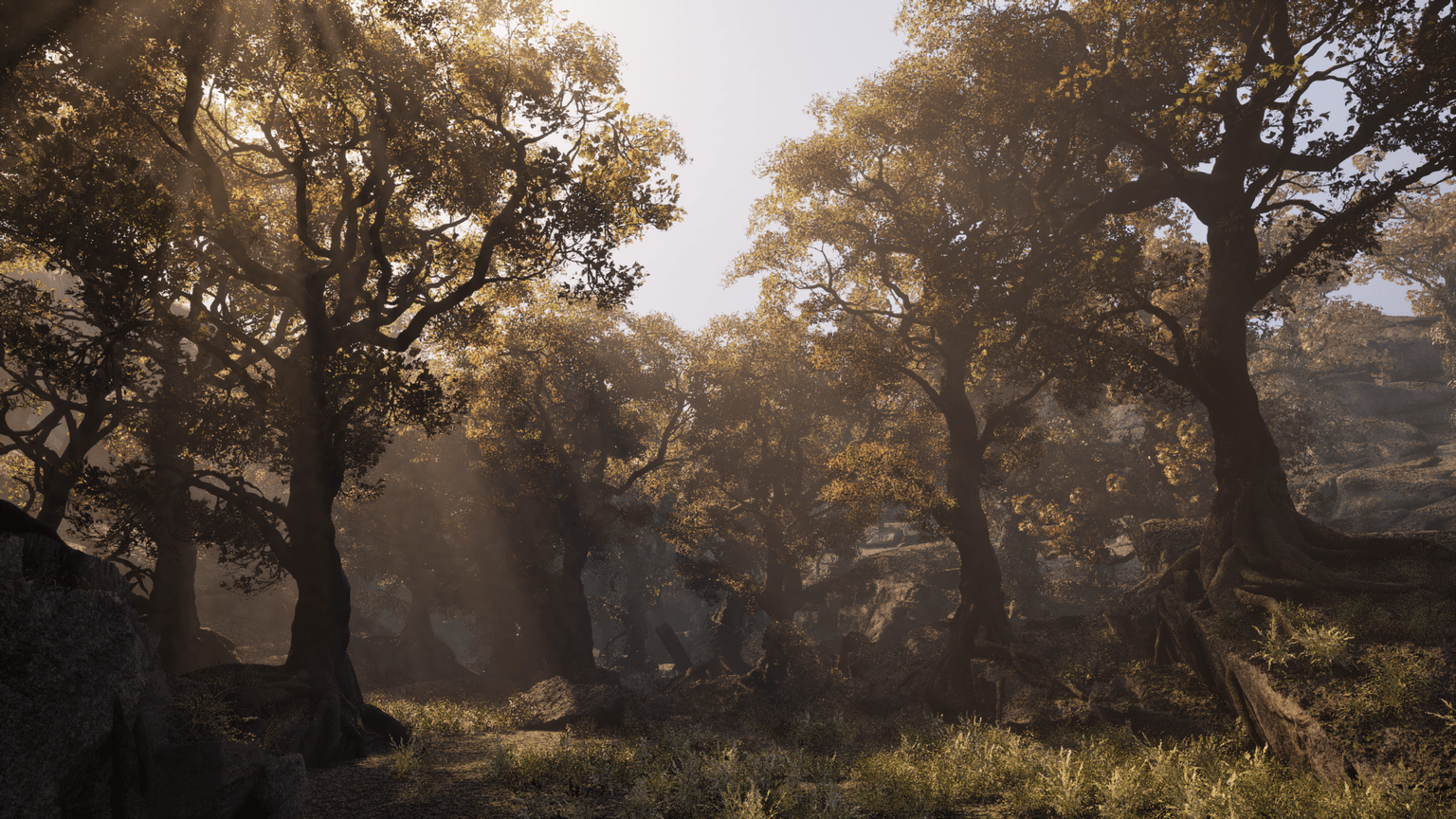 Project Elderwood Unreal Engine scene with Nanite foliage